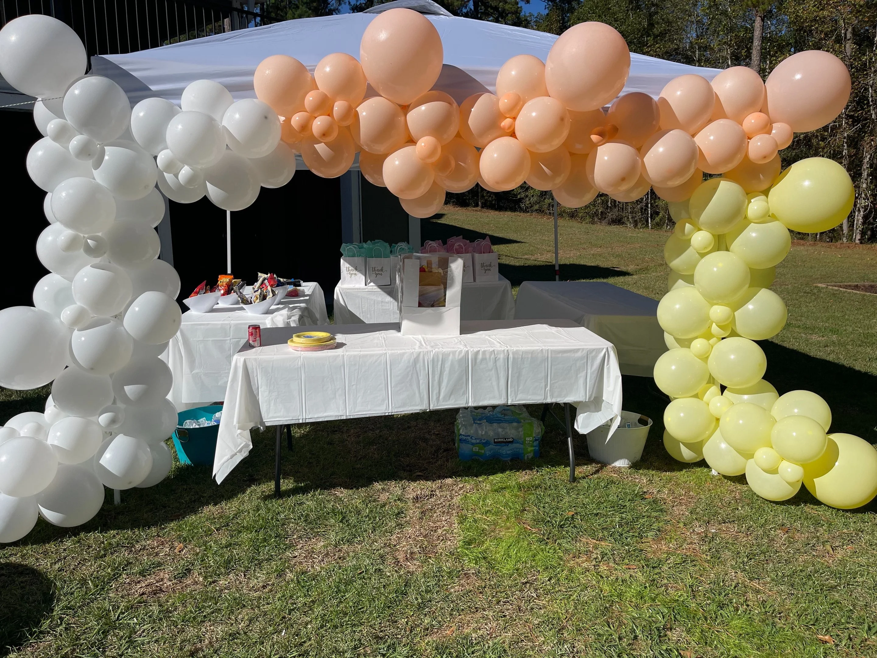 Balloon decoration 2